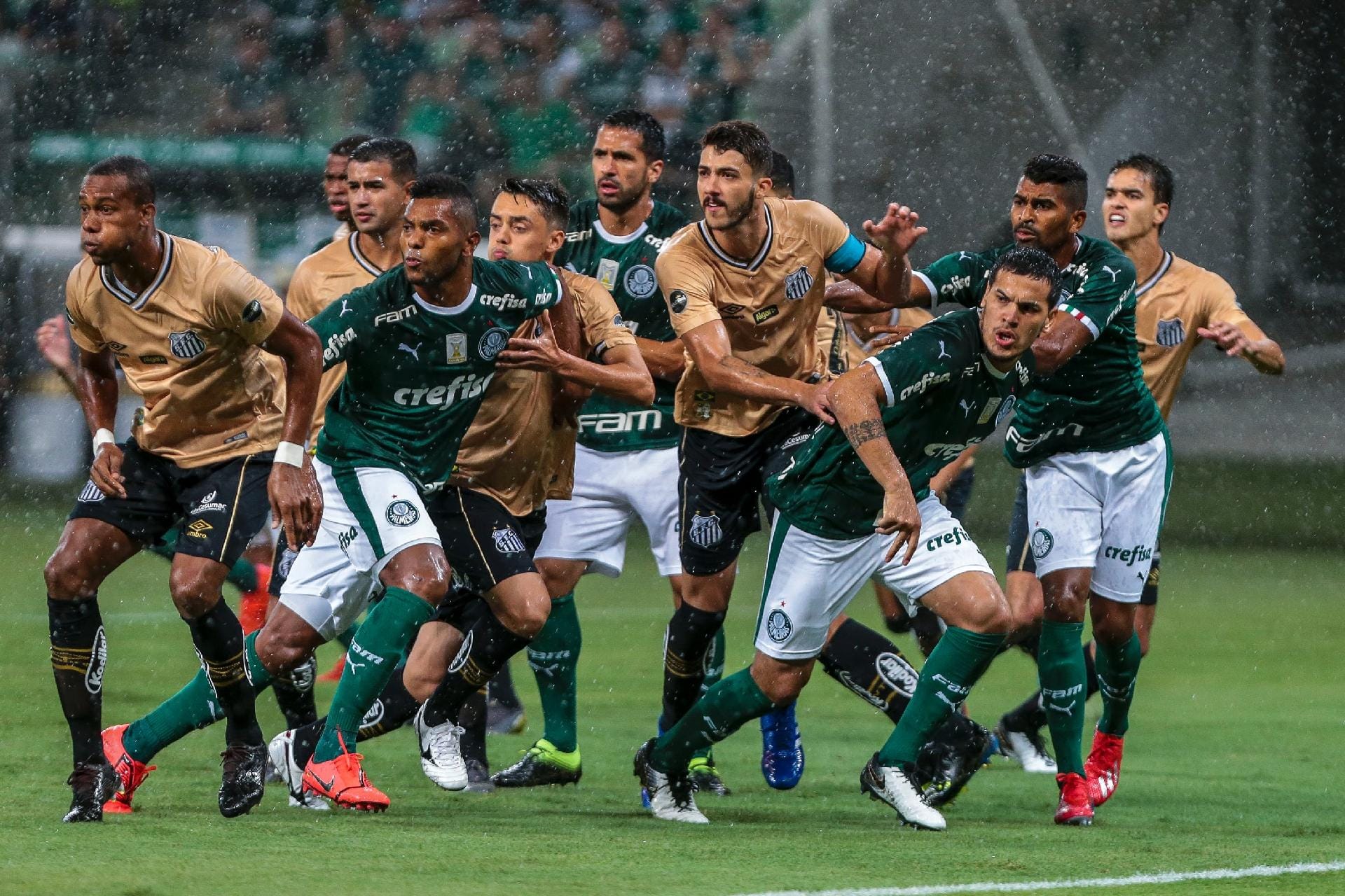 Palmeiras tem arrecadação histórica em 2018: R$ 688,5 milhões