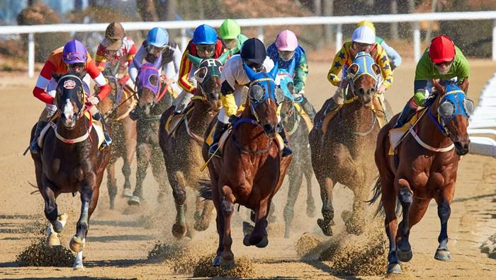 Paixão Brasileira pelas Corridas de Cavalo: Tradição e Cultura de Apostas