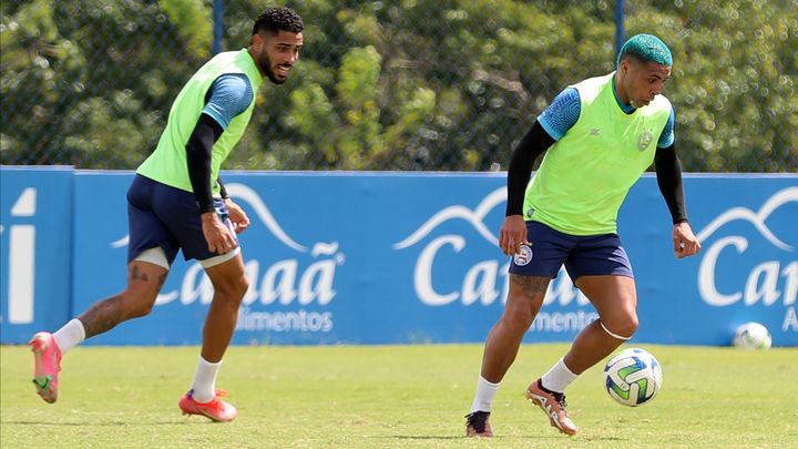 Bahia está pronto para enfrentar o América-MG; Veja provável time