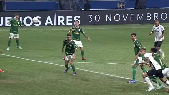 Antes de pegar o Bahia, Botafogo elimina Palmeiras em jogo eletrizante pela Libertadores